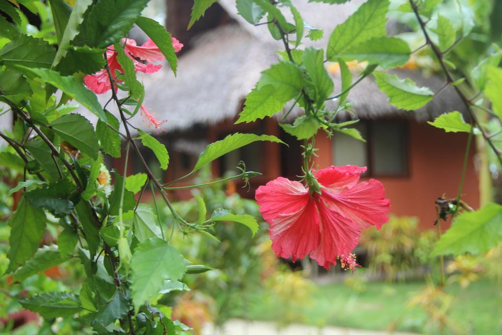 Villa Solaria General Luna (Surigao del Norte) Exterior foto